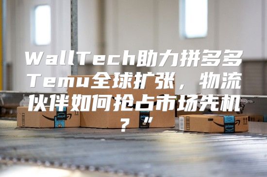 WallTech助力拼多多Temu全球扩张，物流伙伴如何抢占市场先机？”