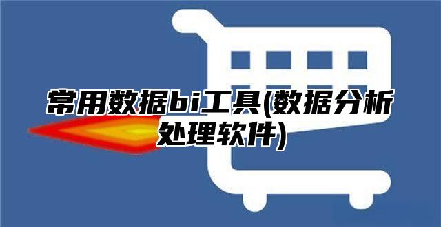 常用数据bi工具(数据分析处理软件)