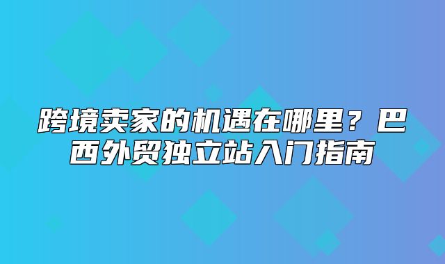 跨境卖家的机遇在哪里？巴西外贸独立站入门指南
