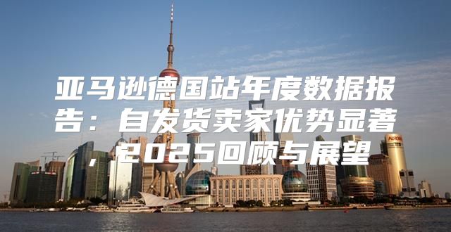 亚马逊德国站年度数据报告：自发货卖家优势显著，2025回顾与展望