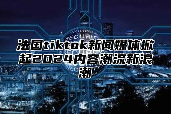 法国tiktok新闻媒体掀起2025内容潮流新浪潮