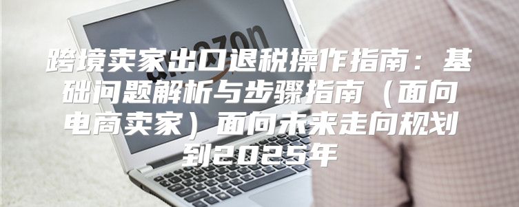 跨境卖家出口退税操作指南：基础问题解析与步骤指南面向电商卖家面向未来走向规划到2025年