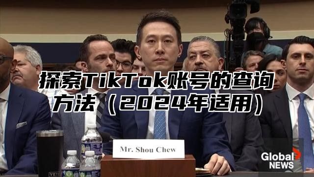 探索TikTok账号的查询方法2025年适用