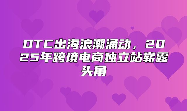 DTC出海浪潮涌动，2025年跨境电商独立站崭露头角