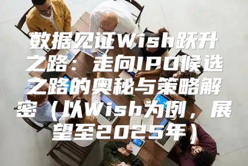 数据见证Wish跃升之路：走向IPO候选之路的奥秘与策略解密以Wish为例，展望至2025年
