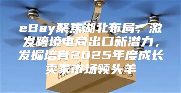 eBay聚焦湖北布局，激发跨境电商出口新潜力，发掘培育2025年度成长卖家市场领头羊