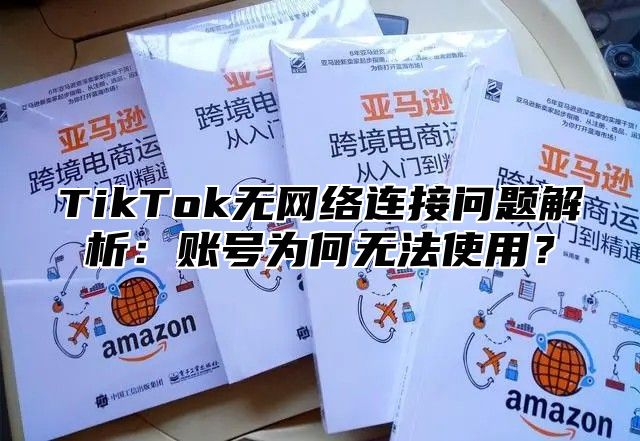 TikTok无网络连接问题解析：账号为何无法使用？