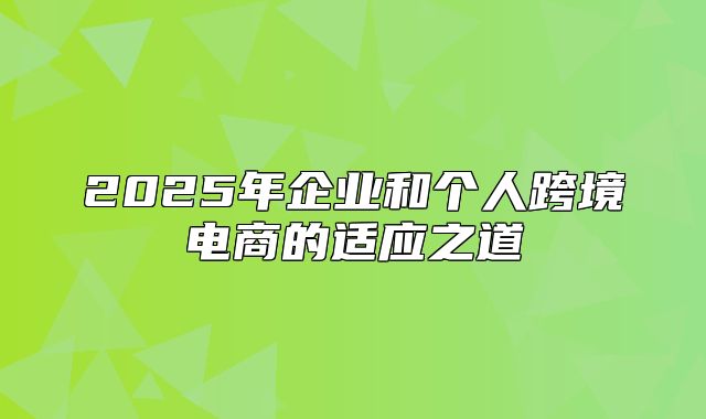 2025年企业和个人跨境电商的适应之道