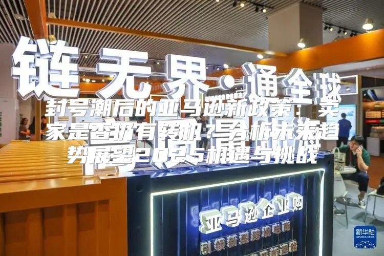 封号潮后的亚马逊新政策：卖家是否仍有转机？分析未来趋势展望2025机遇与挑战