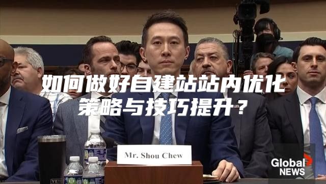 如何做好自建站站内优化策略与技巧提升？