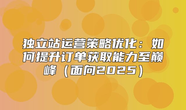 独立站运营策略优化：如何提升订单获取能力至巅峰面向2025