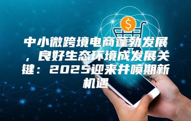 中小微跨境电商蓬勃发展，良好生态环境成发展关键：2025迎来井喷期新机遇