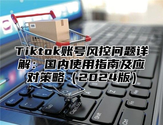 Tiktok账号风控问题详解：国内使用指南及应对策略2025版