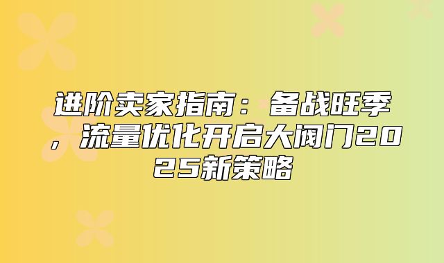 进阶卖家指南：备战旺季，流量优化开启大阀门2025新策略