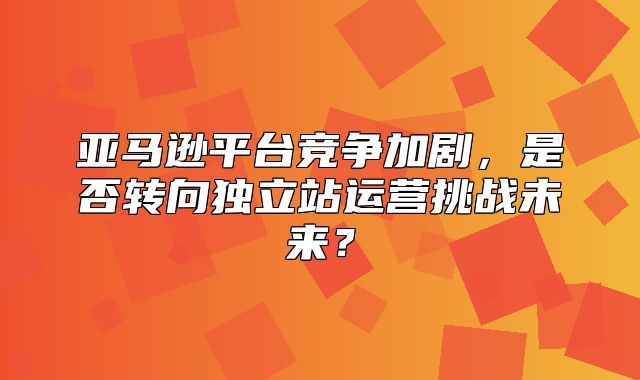 亚马逊平台竞争加剧，是否转向独立站运营挑战未来？