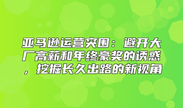 亚马逊运营突围：避开大厂高薪和年终豪奖的诱惑，挖掘长久出路的新视角