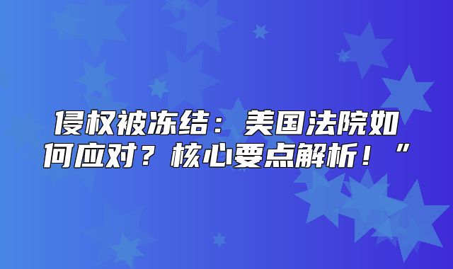 侵权被冻结：美国法院如何应对？核心要点解析！”