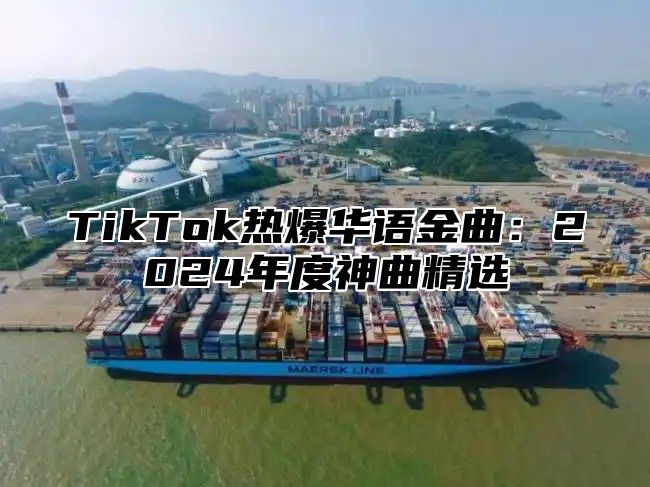 TikTok热爆华语金曲：2025年度神曲精选