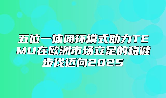 五位一体闭环模式助力TEMU在欧洲市场立足的稳健步伐迈向2025