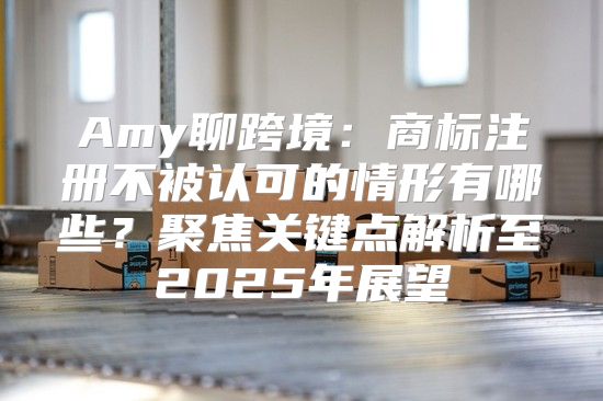 Amy聊跨境：商标注册不被认可的情形有哪些？聚焦关键点解析至2025年展望