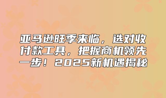 亚马逊旺季来临，选对收付款工具，把握商机领先一步！2025新机遇揭秘
