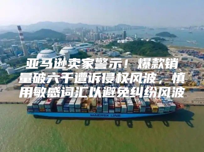 亚马逊卖家警示！爆款销量破六千遭诉侵权风波，慎用敏感词汇以避免纠纷风波