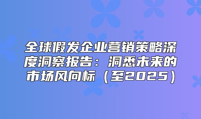 全球假发企业营销策略深度洞察报告：洞悉未来的市场风向标至2025