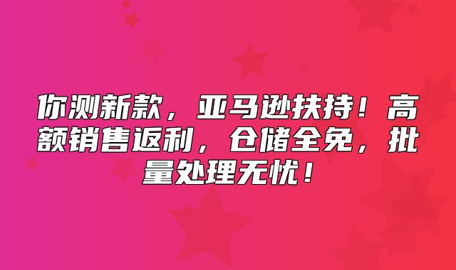 你测新款，亚马逊扶持！高额销售返利，仓储全免，批量处理无忧！
