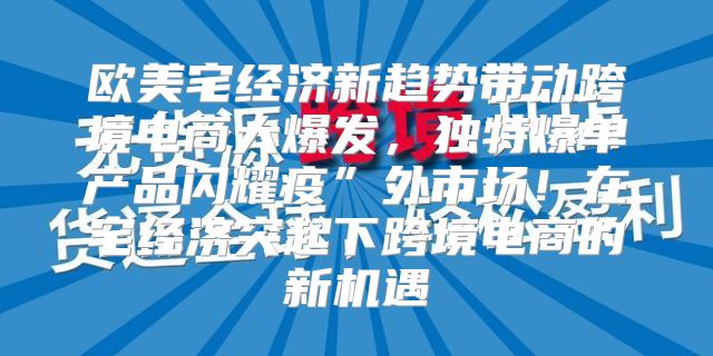 欧美宅经济新趋势带动跨境电商大爆发，独特爆单产品闪耀疫”外市场！在宅经济突起下跨境电商的新机遇