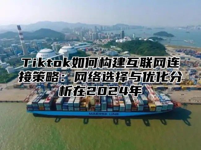 Tiktok如何构建互联网连接策略：网络选择与优化分析在2025年