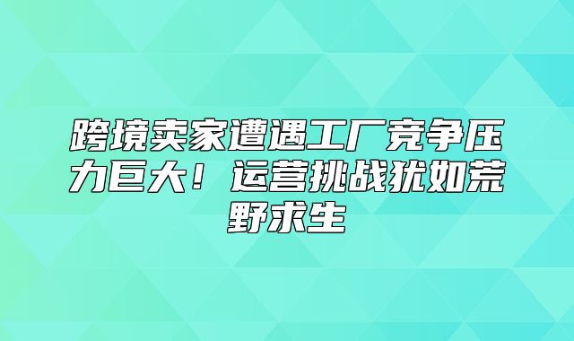 跨境卖家遭遇工厂竞争压力巨大！运营挑战犹如荒野求生