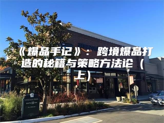 爆品手记：跨境爆品打造的秘籍与策略方法论上