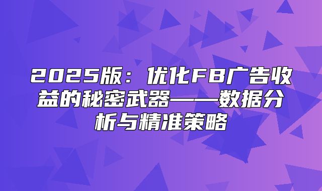 2025版：优化FB广告收益的秘密武器——数据分析与精准策略