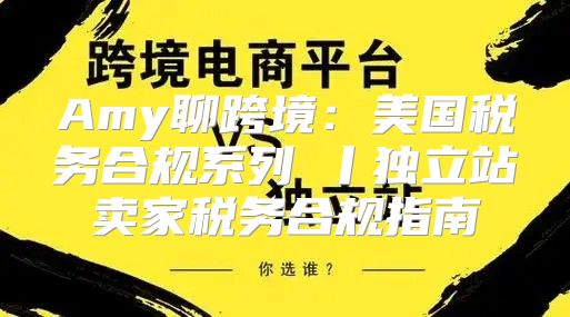 Amy聊跨境：美国税务合规系列③丨独立站卖家税务合规指南