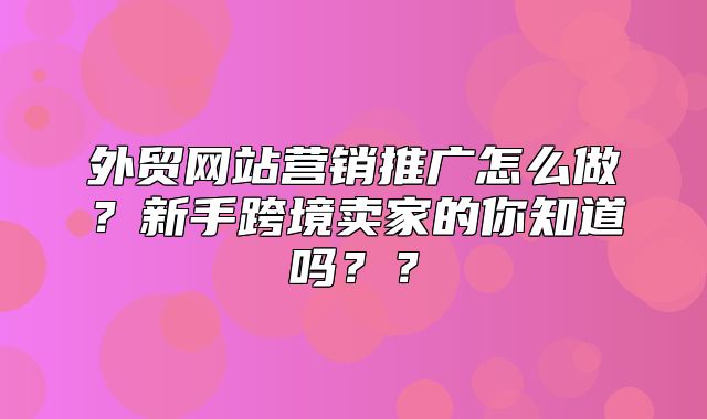 外贸网站营销推广怎么做？新手跨境卖家的你知道吗？？
