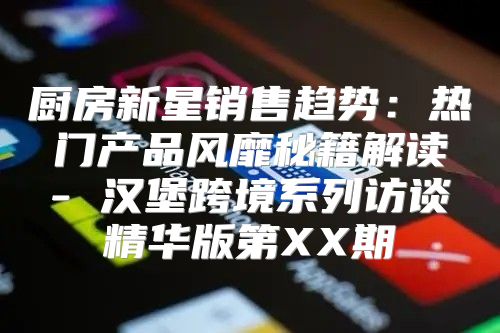 厨房新星销售趋势：热门产品风靡秘籍解读- 汉堡跨境系列访谈精华版第XX期