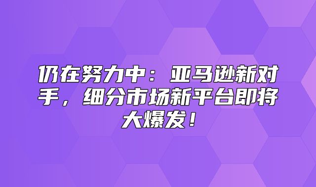 仍在努力中：亚马逊新对手，细分市场新平台即将大爆发！