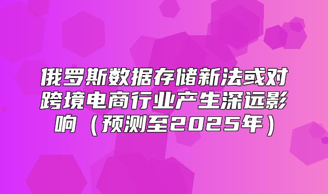 俄罗斯数据存储新法或对跨境电商行业产生深远影响预测至2025年