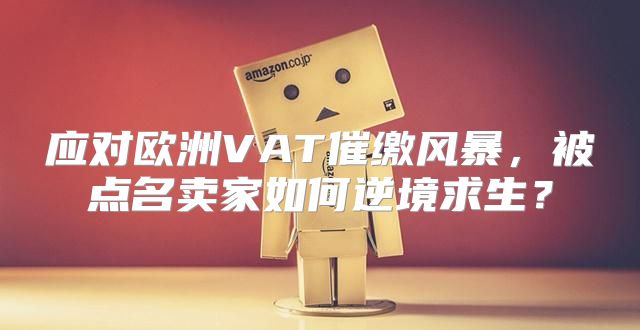 应对欧洲VAT催缴风暴，被点名卖家如何逆境求生？