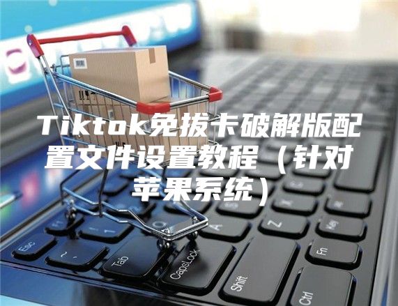 Tiktok免拔卡破解版配置文件设置教程针对苹果系统
