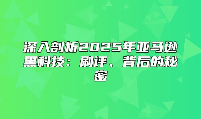 深入剖析2025年亚马逊黑科技：刷评、背后的秘密