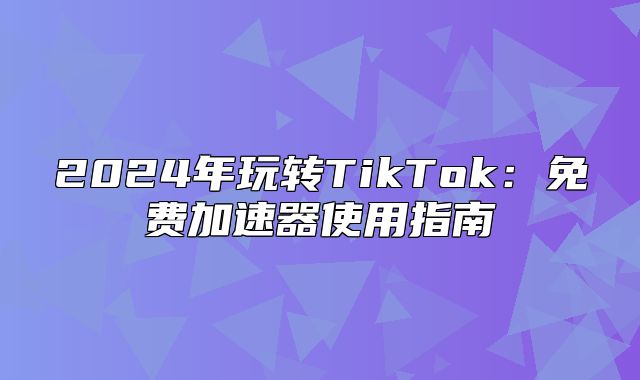 2025年玩转TikTok：免费加速器使用指南