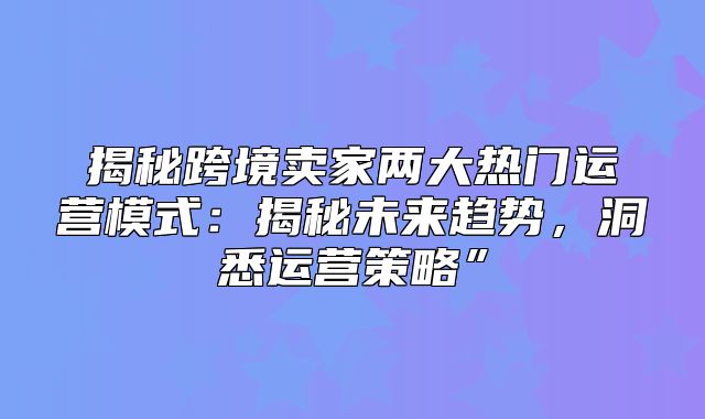 揭秘跨境卖家两大热门运营模式：揭秘未来趋势，洞悉运营策略”