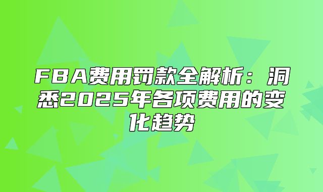 FBA费用罚款全解析：洞悉2025年各项费用的变化趋势