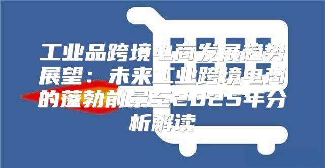 工业品跨境电商发展趋势展望：未来工业跨境电商的蓬勃前景至2025年分析解读