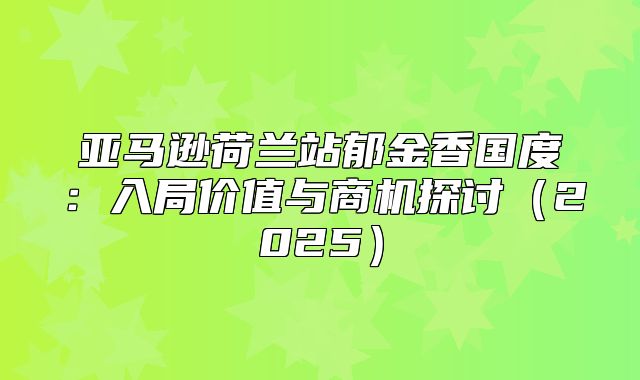 亚马逊荷兰站郁金香国度：入局价值与商机探讨2025