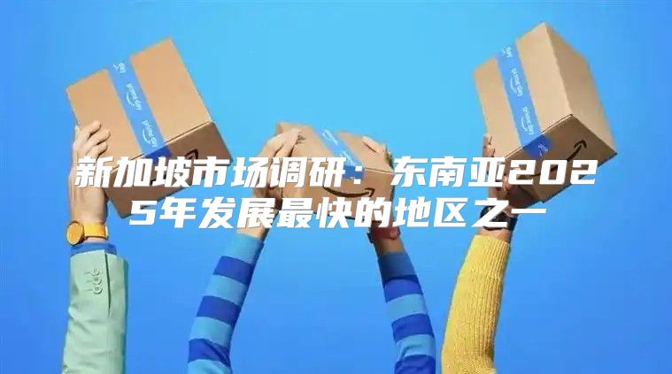 新加坡市场调研：东南亚2025年发展最快的地区之一