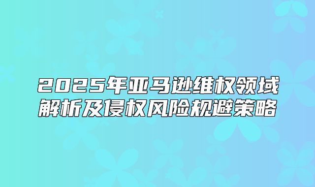 2025年亚马逊维权领域解析及侵权风险规避策略