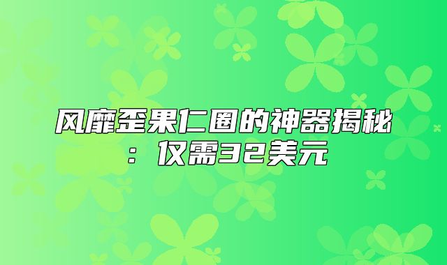 风靡歪果仁圈的神器揭秘：仅需32美元