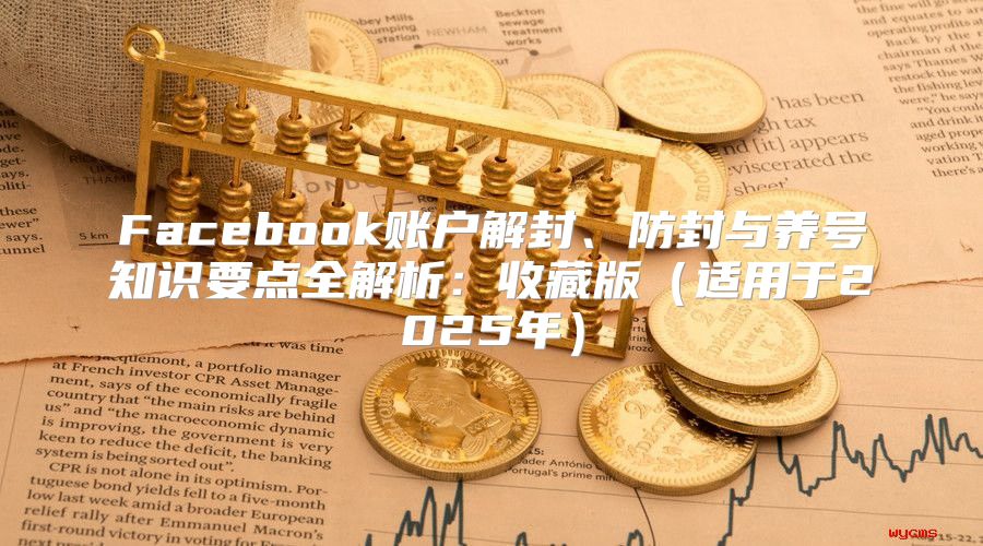 Facebook账户解封、防封与养号知识要点全解析：收藏版适用于2025年